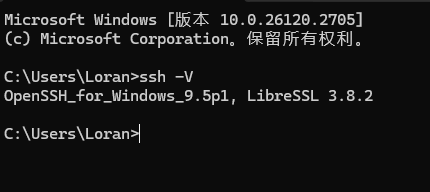 如系统自带SSH客户端，执行该命令后的输出